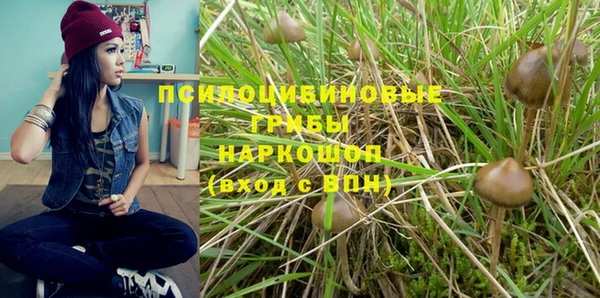 прущий лед Россошь
