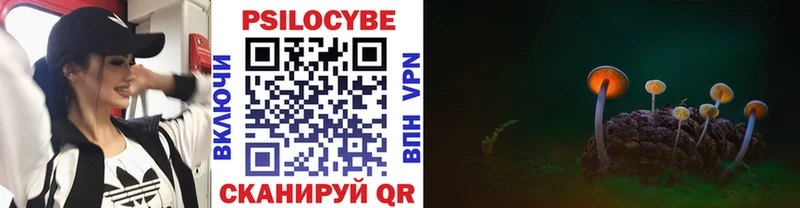 Псилоцибиновые грибы ЛСД  блэк спрут ONION  Весьегонск 